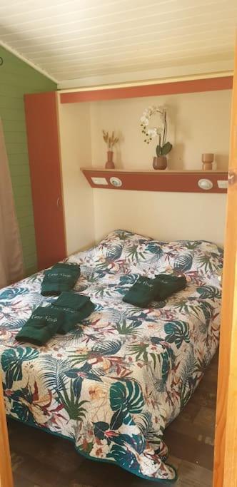 Casa Camping Cazilhac (Aude)